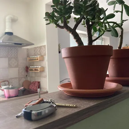 Repose * Liptovsky Mikulas